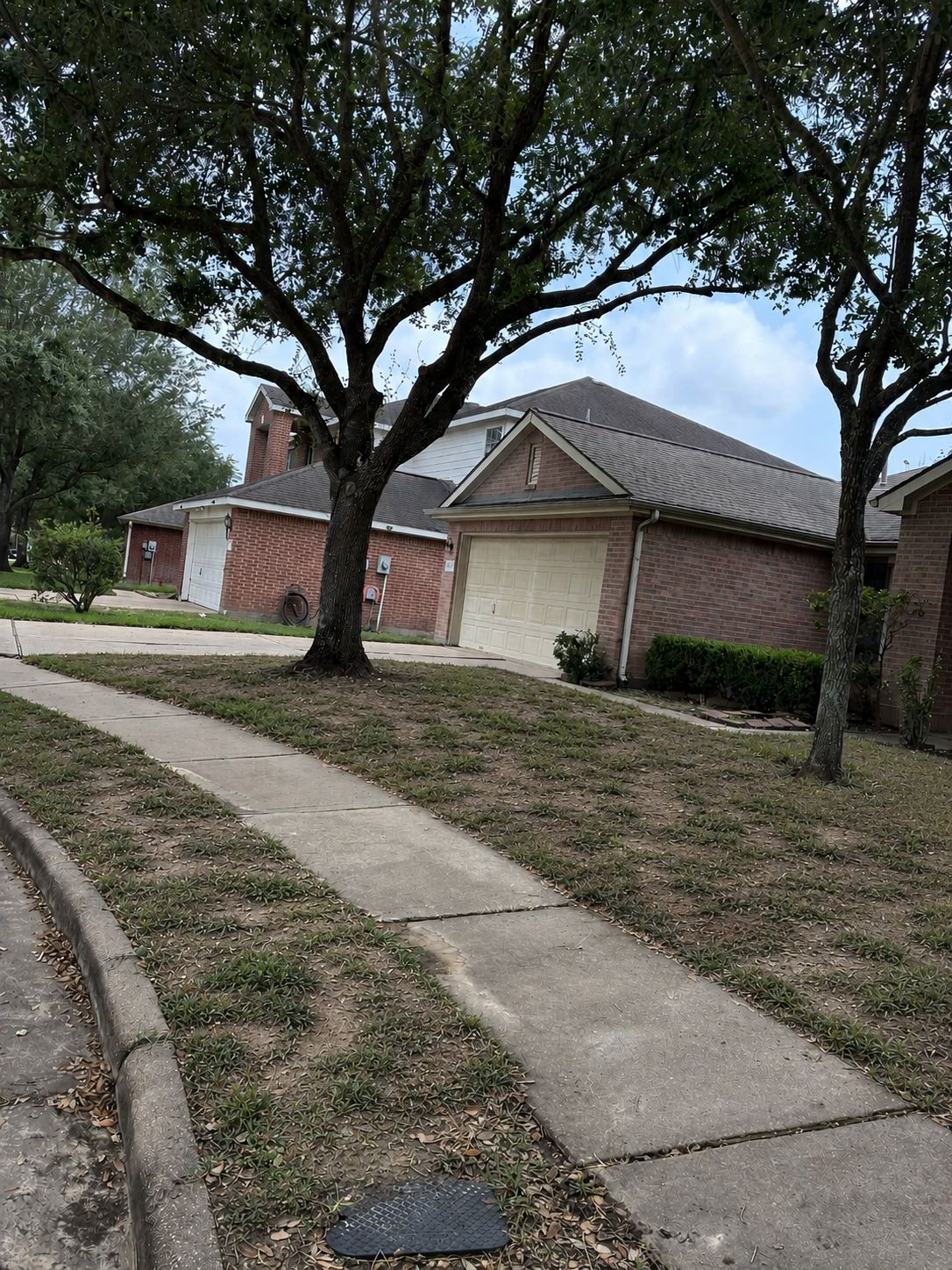 Full lawn replacement before