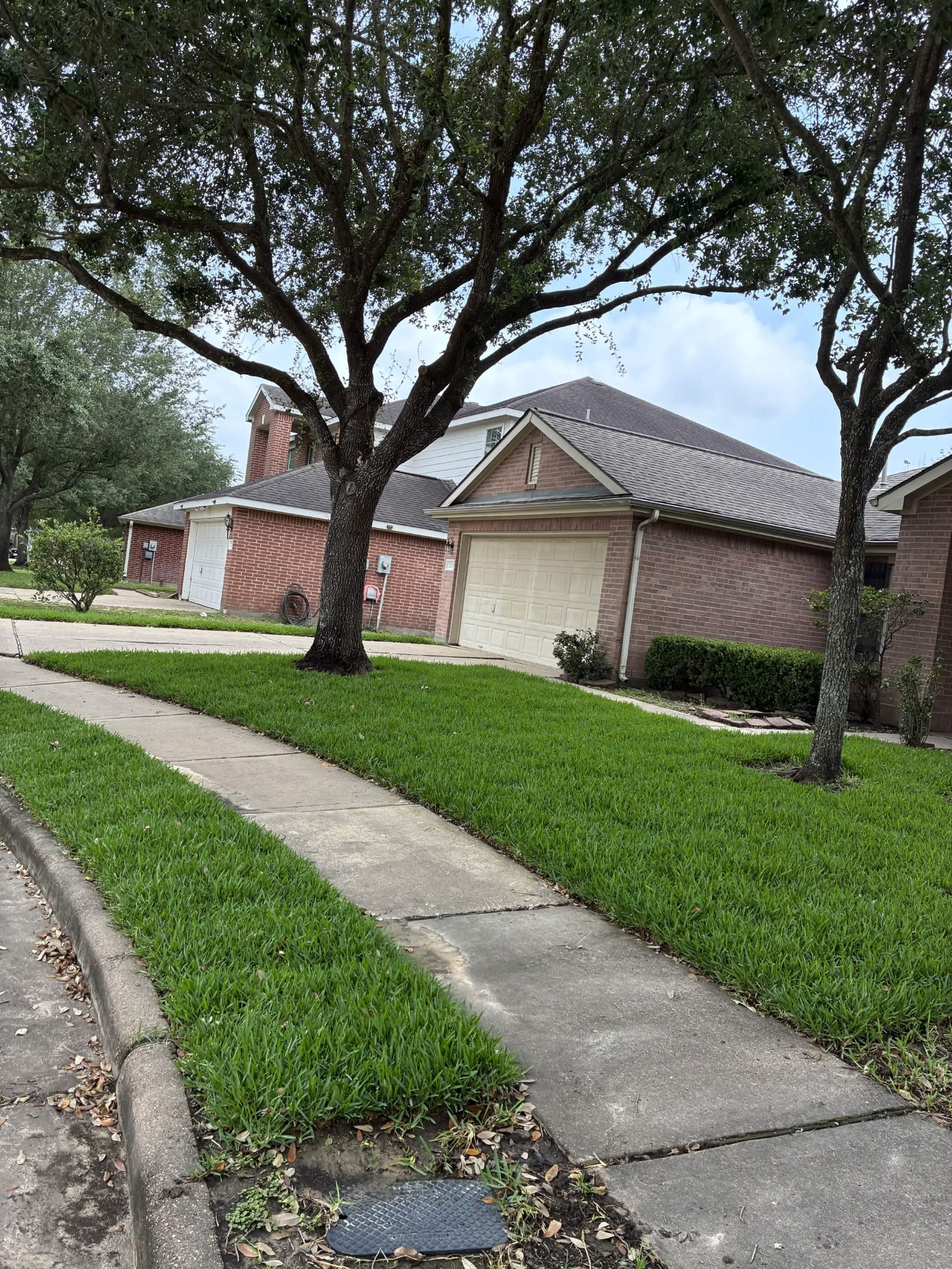 Full lawn replacement after